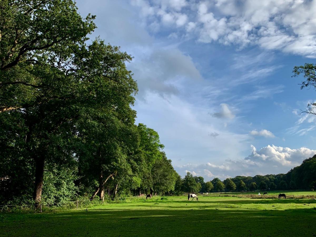 Rode Bosuil: Thuiskomen Op De Veluwe! أوتيرلو المظهر الخارجي الصورة